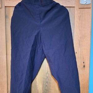 Alfred Dunner Blue pants